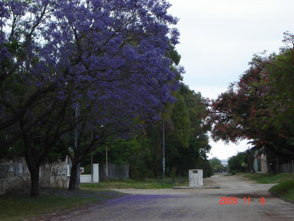 Foto de Victoria (Entre Ríos), Argentina