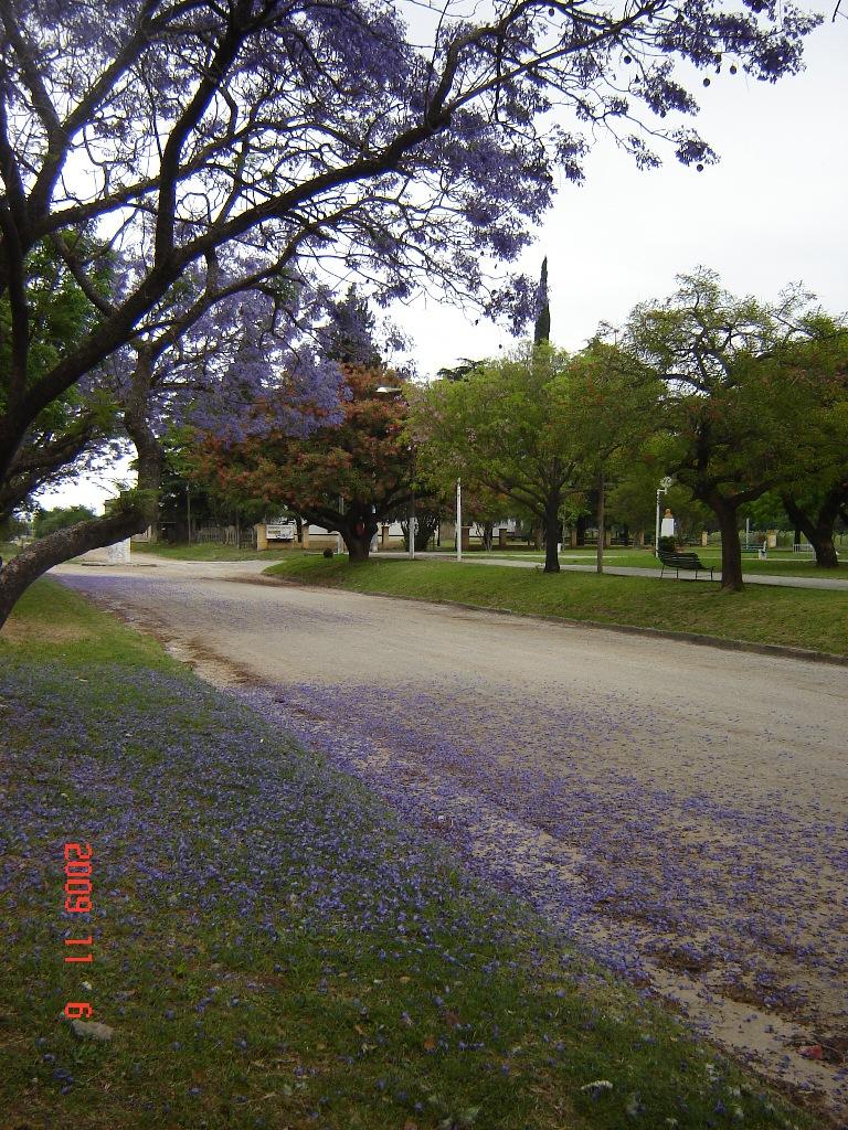 Foto de Victoria (Entre Ríos), Argentina