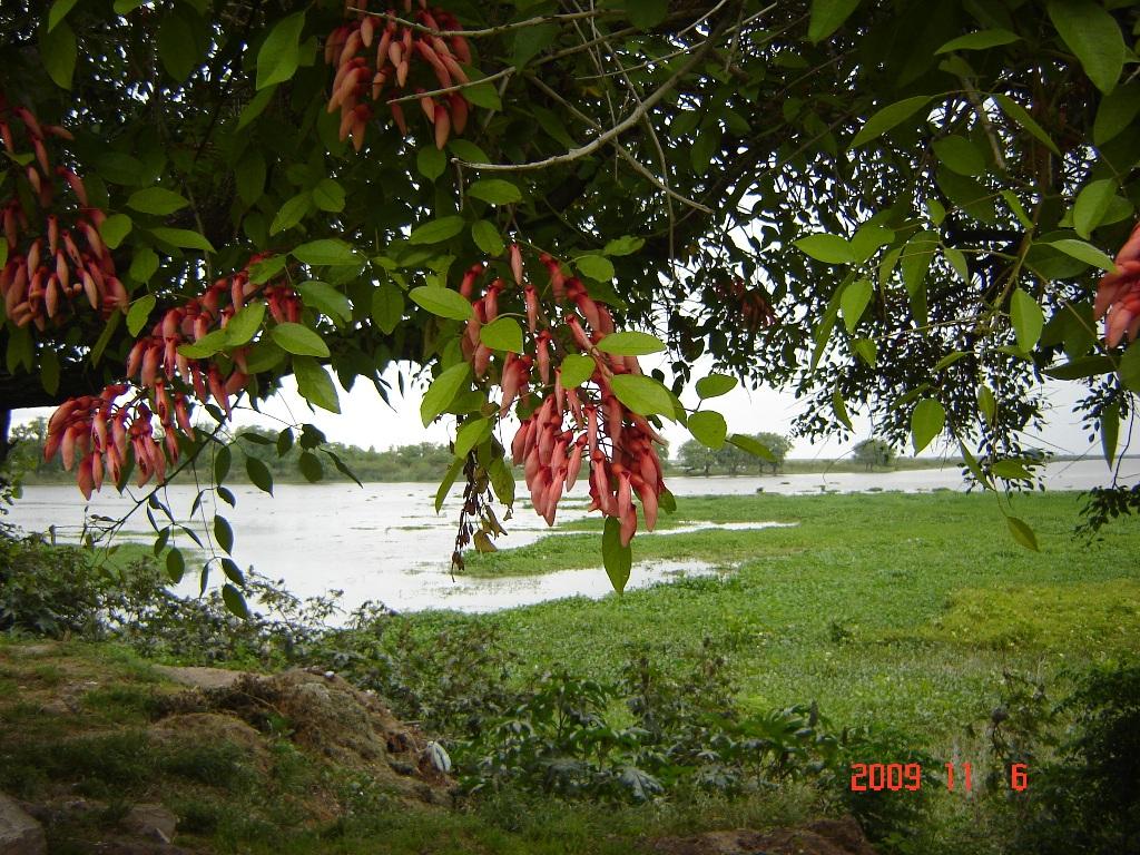 Foto de Victoria (Entre Ríos), Argentina