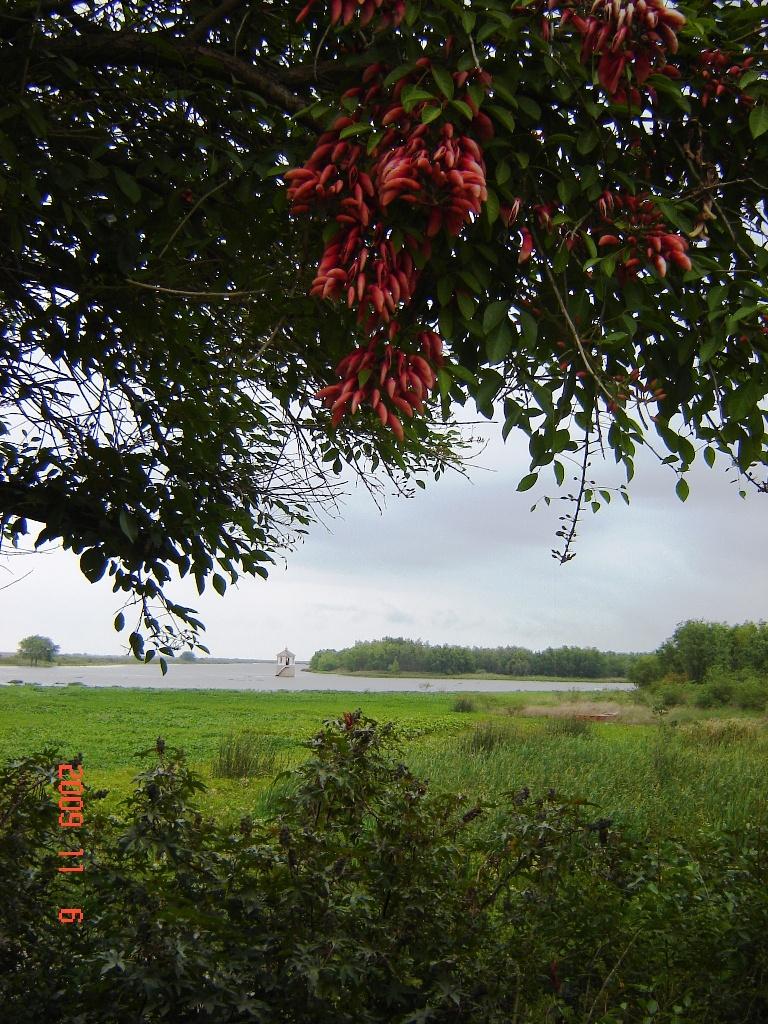 Foto de Victoria (Entre Ríos), Argentina