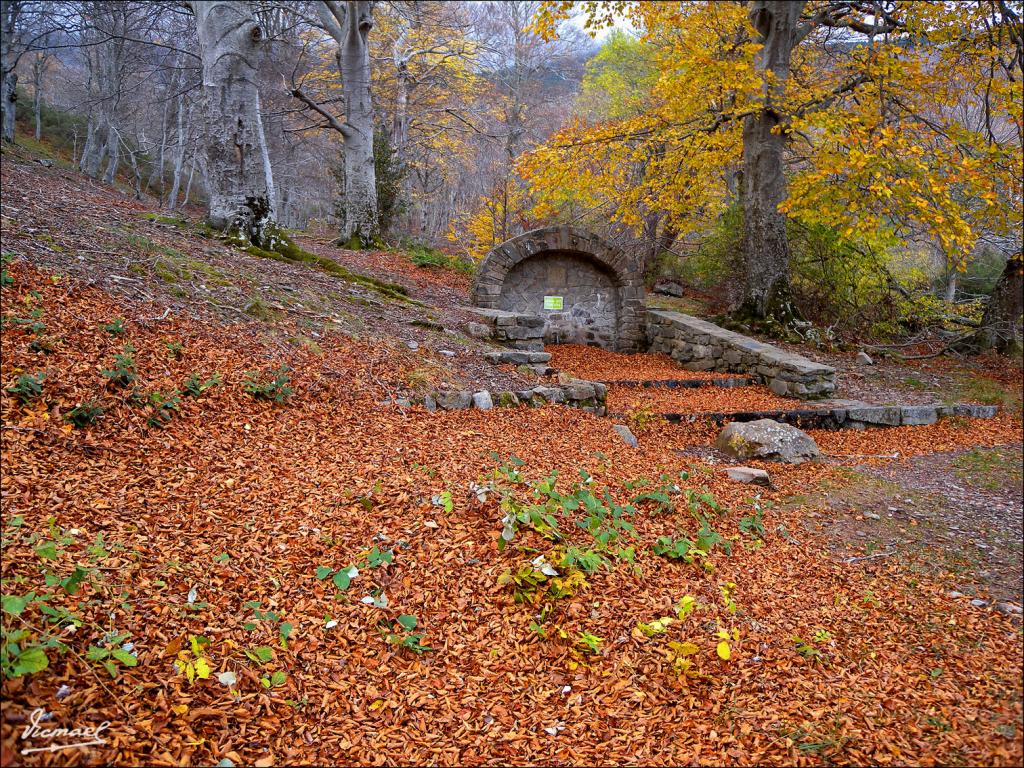 Foto de San Martin de la Virgen de Moncayo (Zaragoza), España