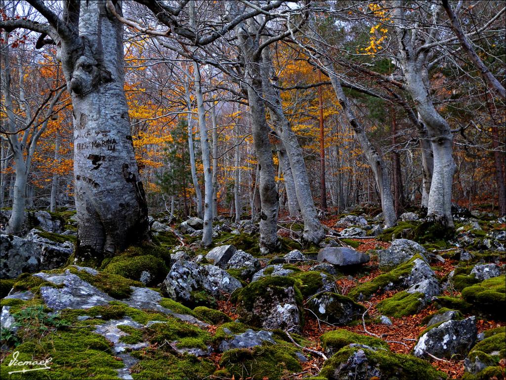 Foto de San Martin de la Virgen de Moncayo (Zaragoza), España