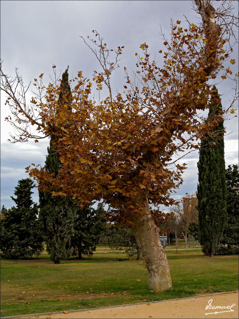 Foto de Zaragoza (Aragón), España