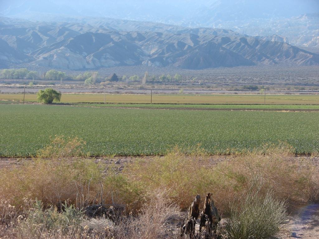 Foto de Tamberias, Argentina