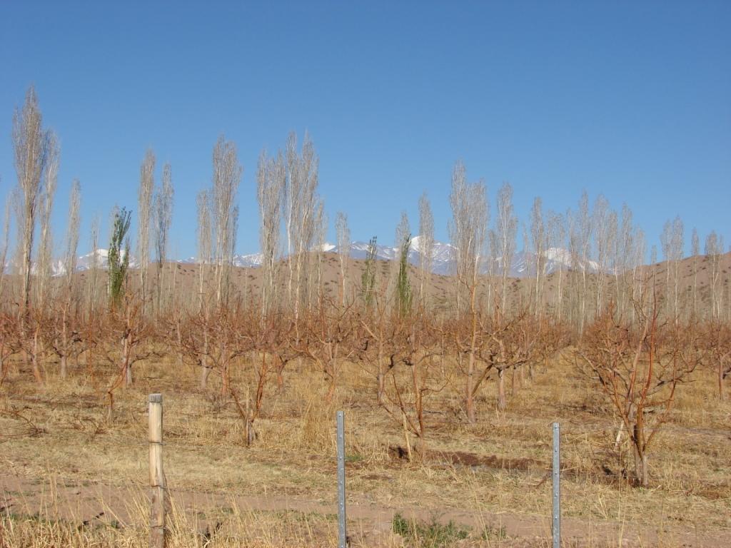 Foto de Tamberias, Argentina