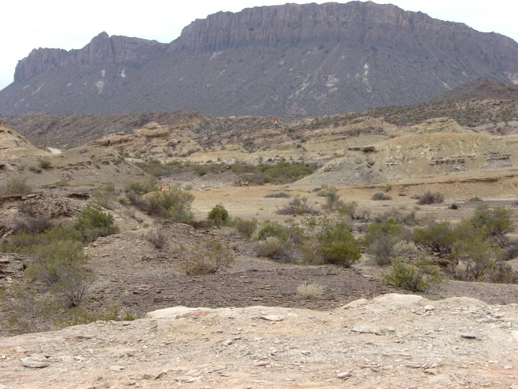 Foto de Ichigualasto (Valle de la Luna), Argentina