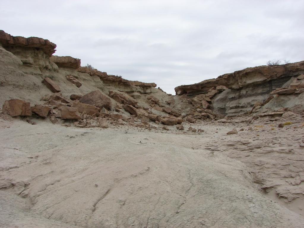 Foto de Ichigualasto (Valle de la Luna), Argentina