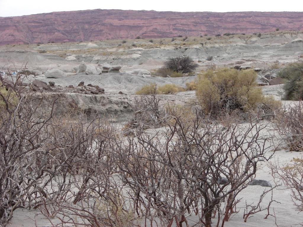 Foto de Ichigualasto, Argentina