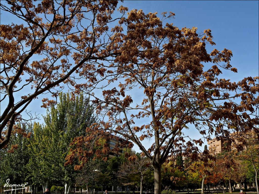 Foto de Zaragoza (Aragón), España