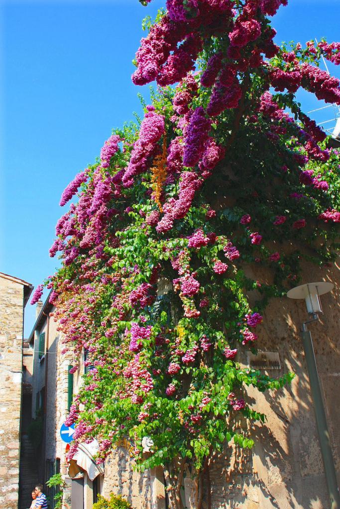 Foto de Sirmione, Italia