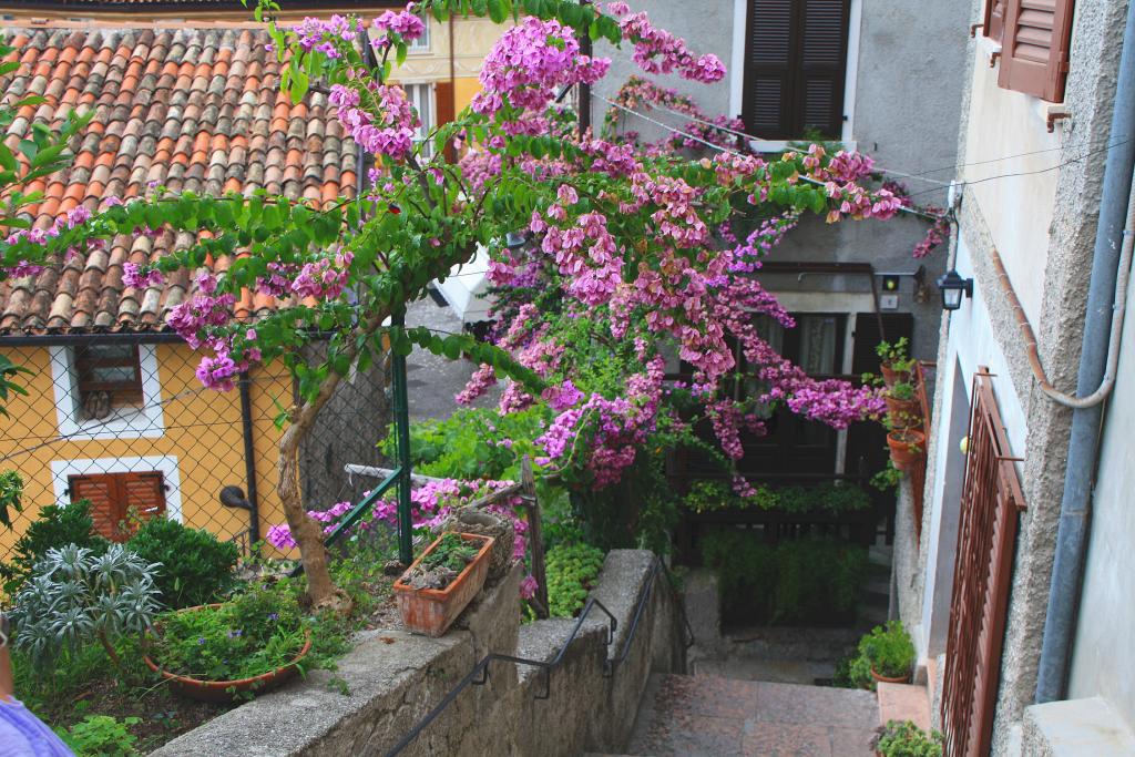 Foto de Limone sul Garda, Italia