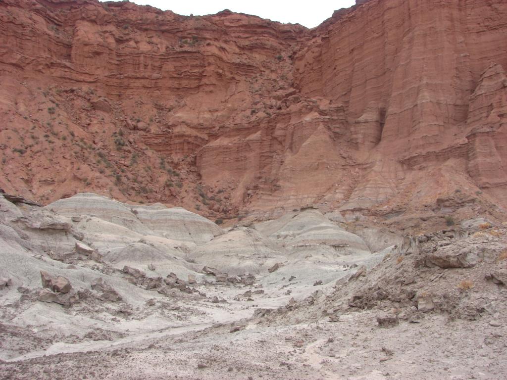 Foto de Ichigualasto (San Juan), Argentina