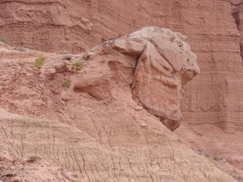 Foto de Ichigualasto (San Juan), Argentina