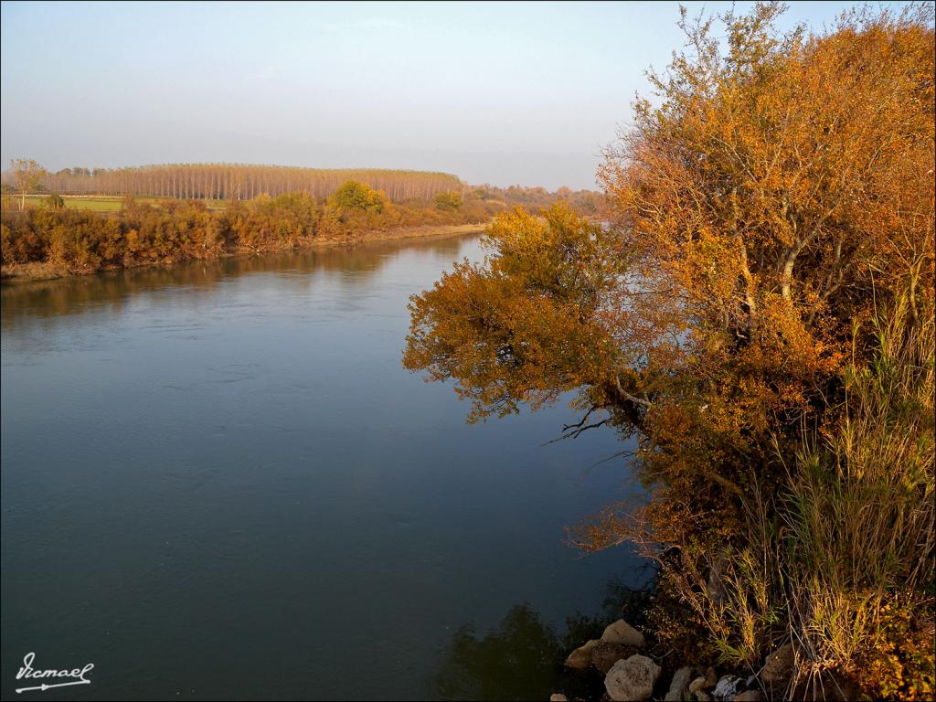 Foto de Zaragoza (Aragón), España