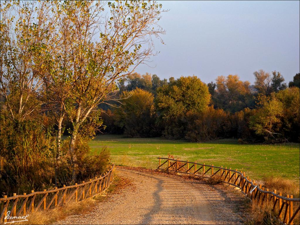 Foto de Zaragoza (Aragón), España