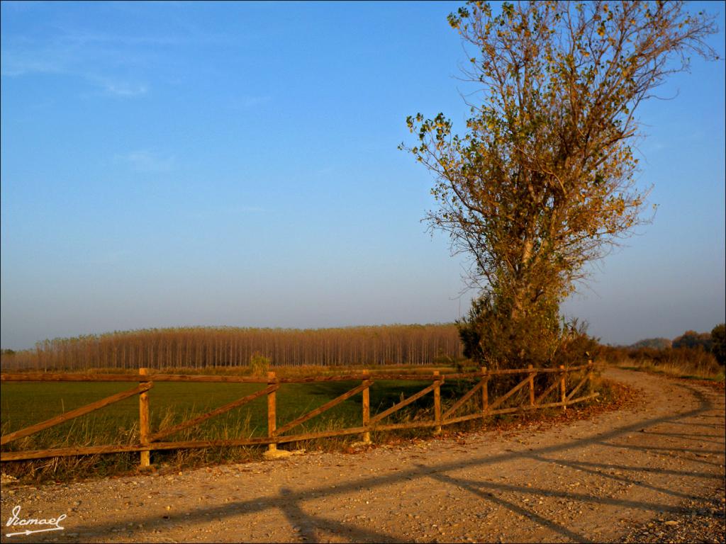 Foto de Zaragoza (Aragón), España