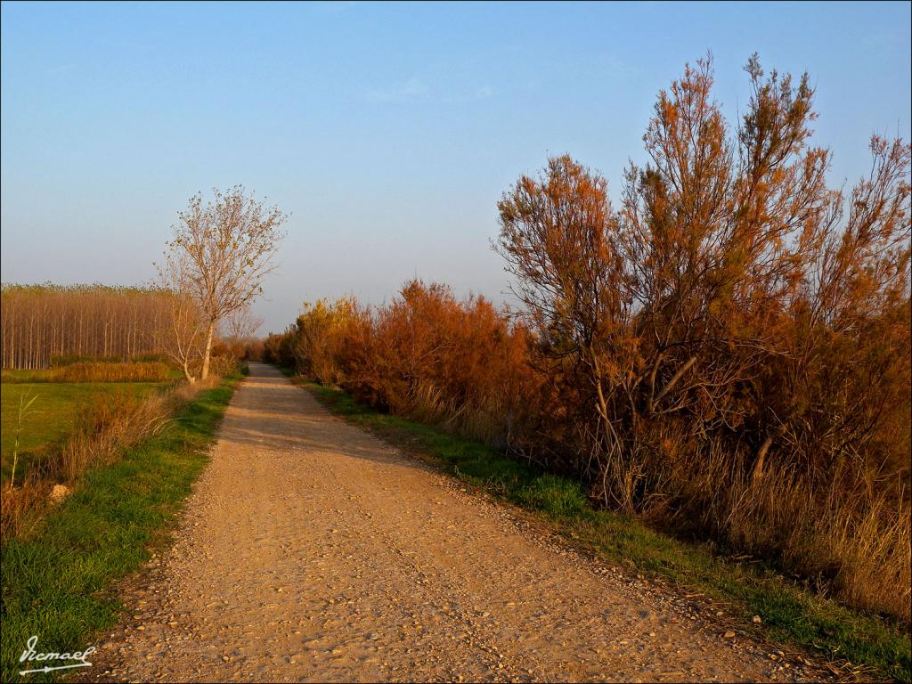 Foto de Zaragoza (Aragón), España