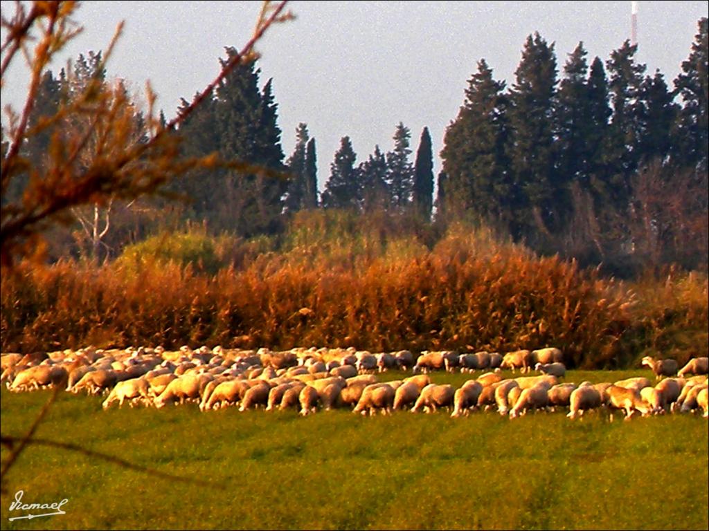 Foto de Zaragoza (Aragón), España