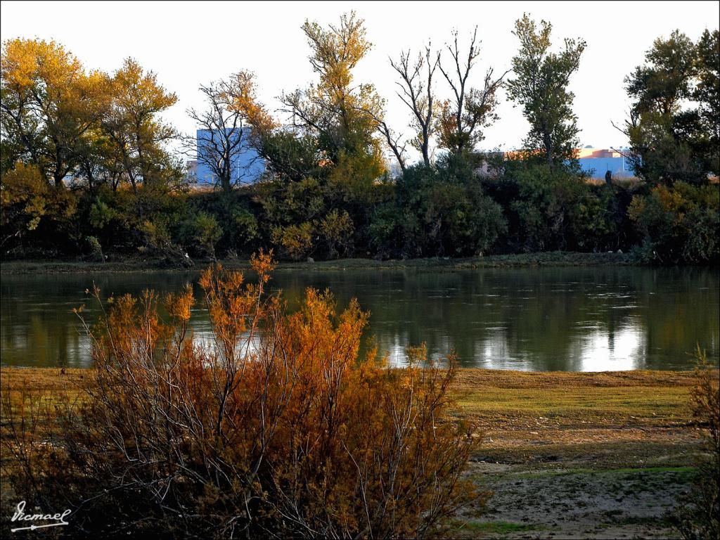 Foto de Zaragoza (Aragón), España