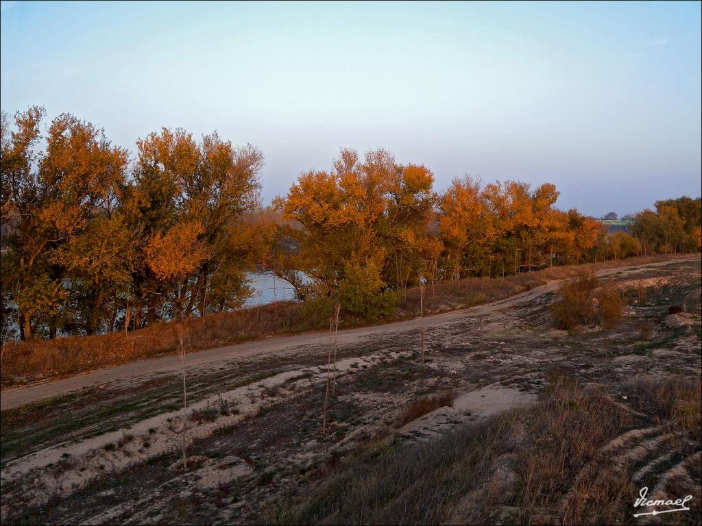 Foto de Zaragoza (Aragón), España