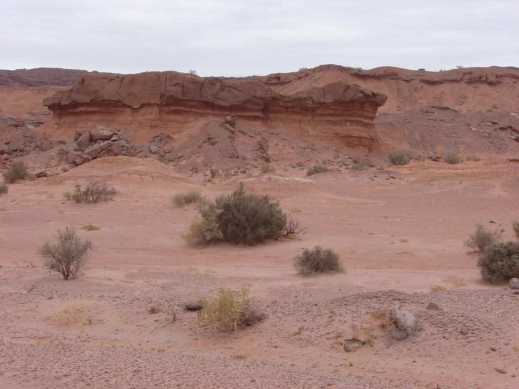 Foto de Ichigualasto (San Juan), Argentina