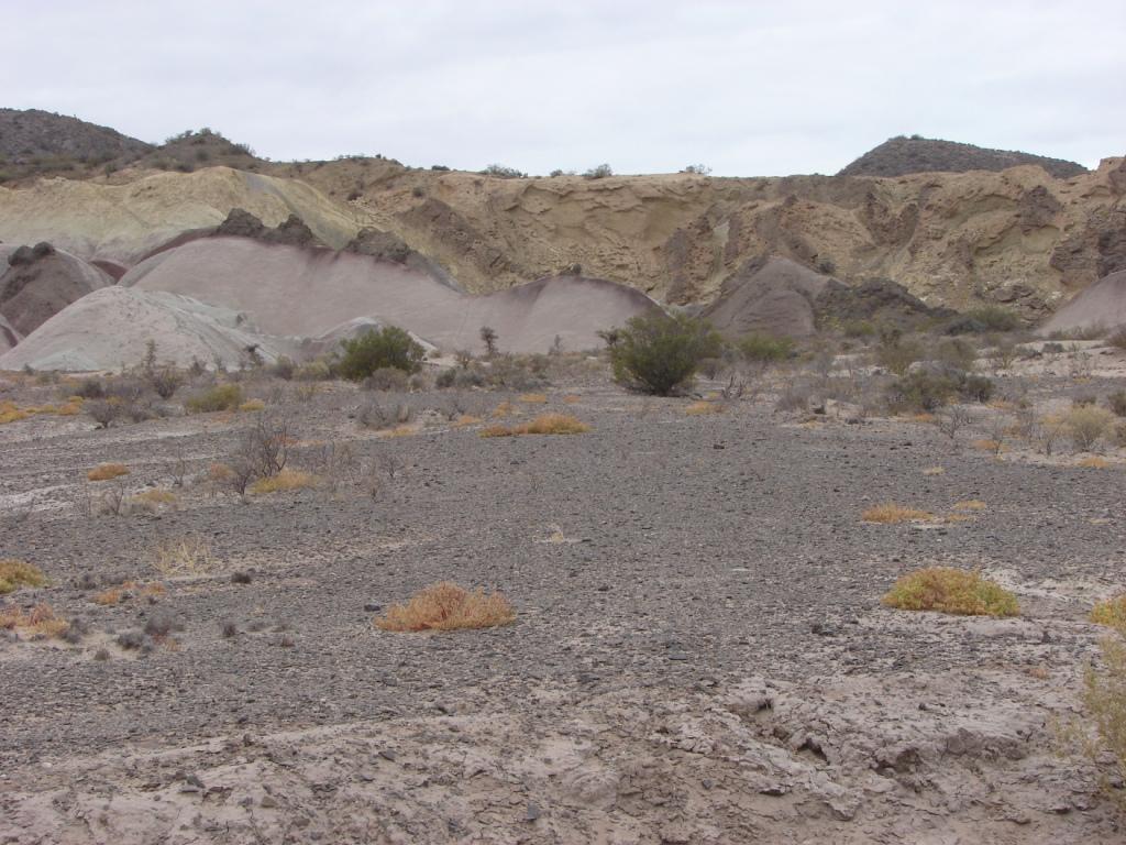 Foto de Ichigualasto (San Juan), Argentina