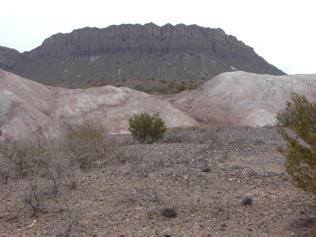 Foto de Ichigualasto (San Juan), Argentina