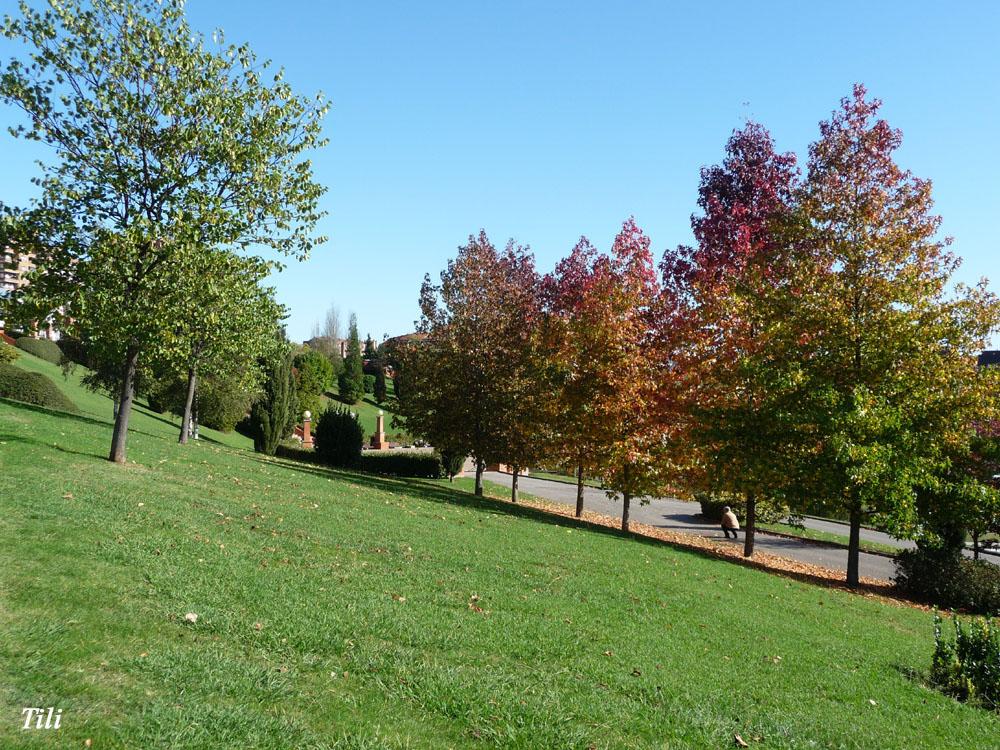 Foto de Oviedo (Asturias), España