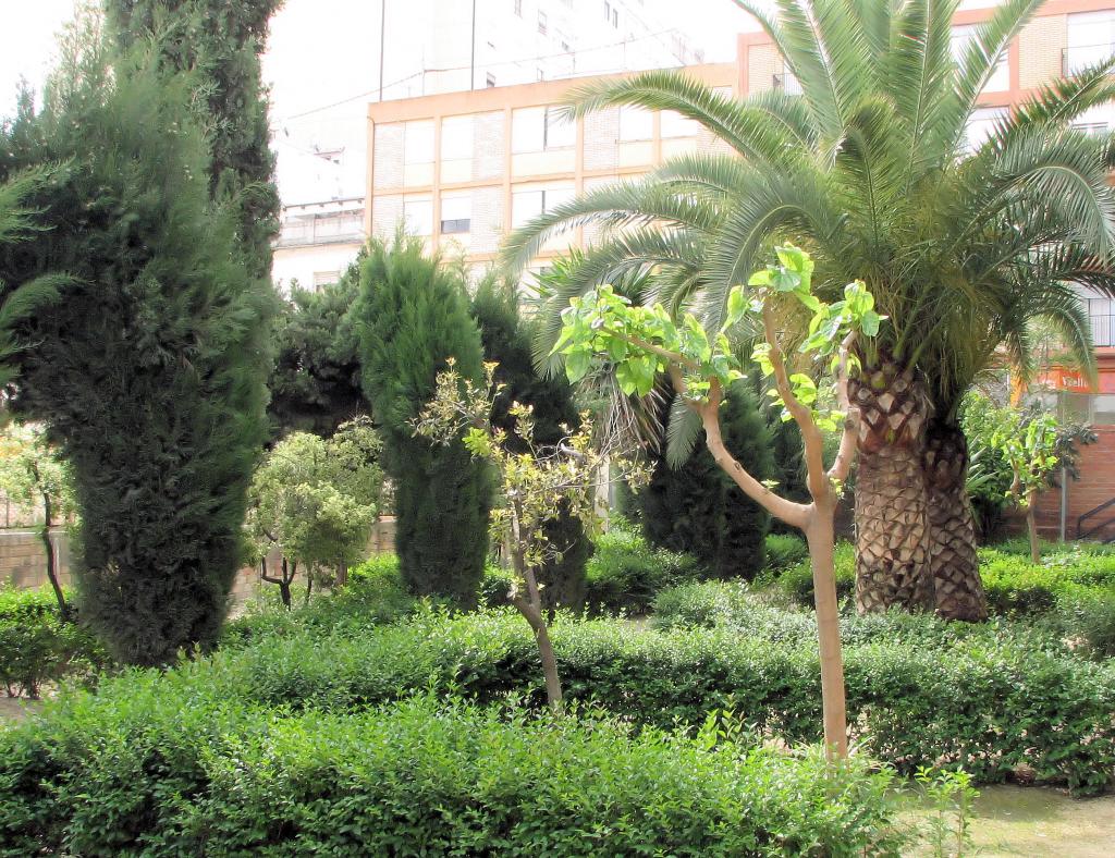 Foto de Ontinyent (València), España