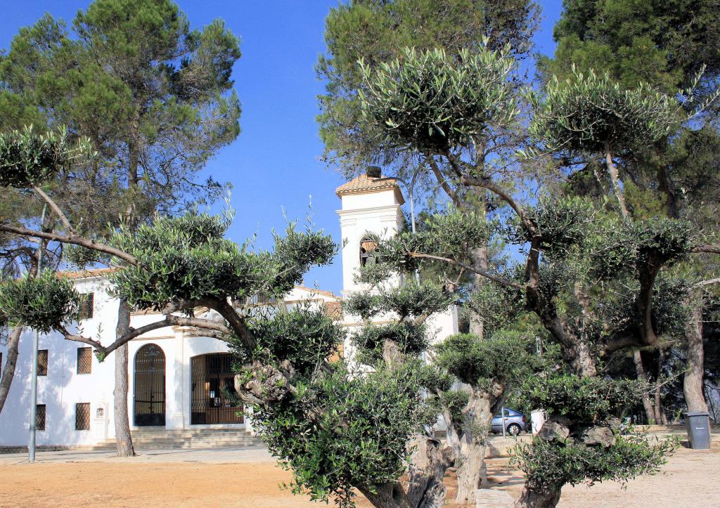 Foto de Ontinyent (València), España