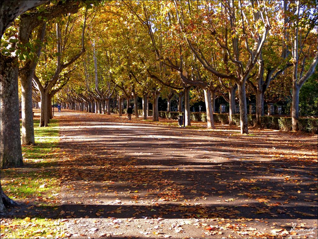 Foto de Zaragoza (Aragón), España