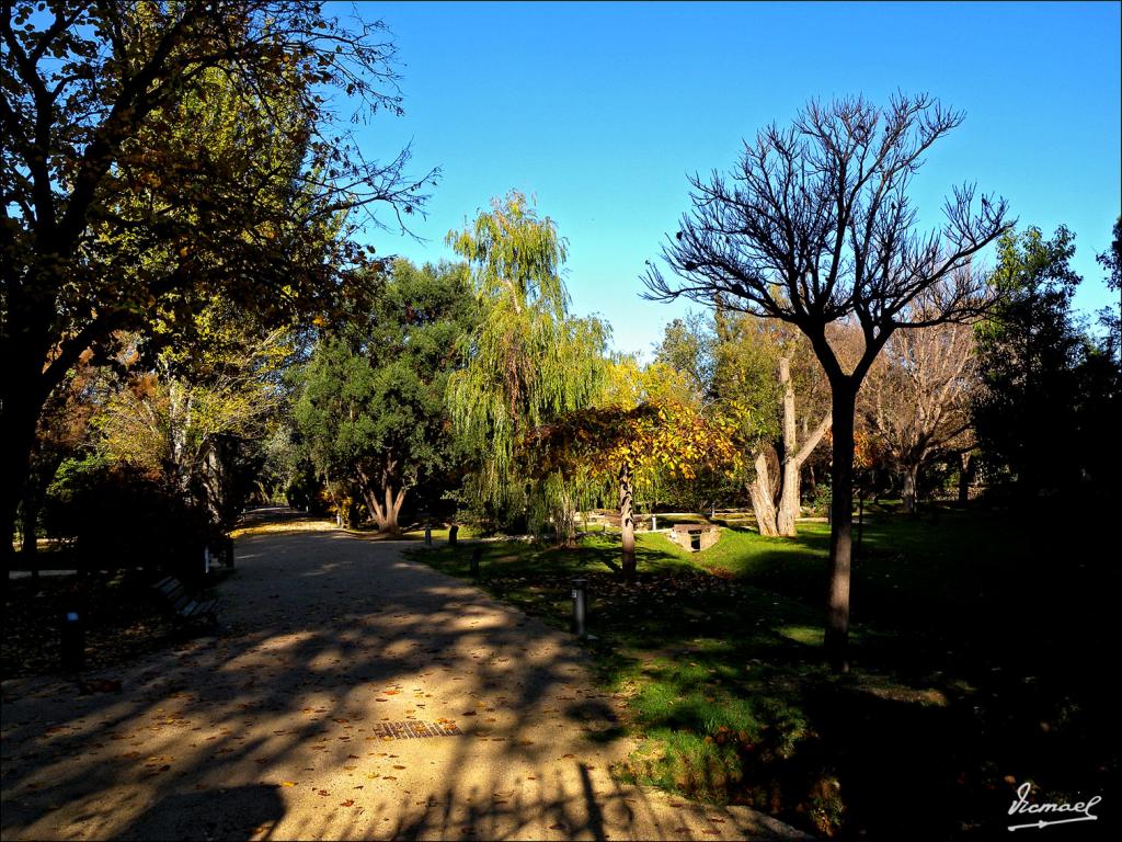 Foto de Zaragoza (Aragón), España