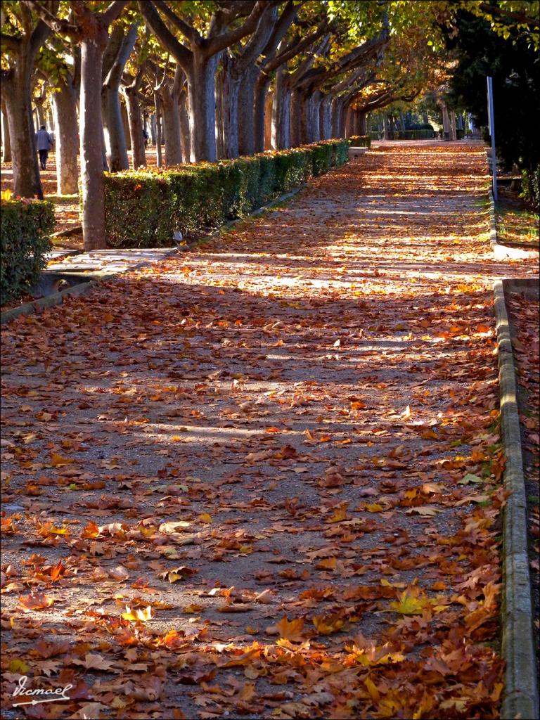 Foto de Zaragoza (Aragón), España