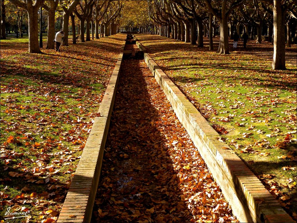 Foto de Zaragoza (Aragón), España