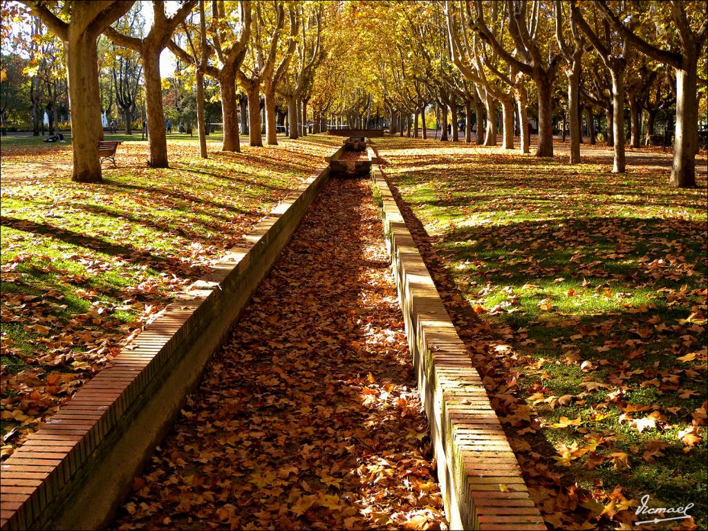 Foto de Zaragoza (Aragón), España