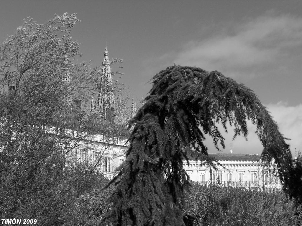 Foto de Burgos (Castilla y León), España