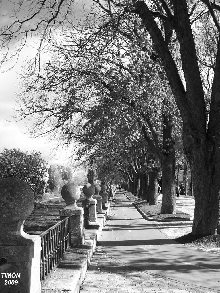 Foto de Burgos (Castilla y León), España