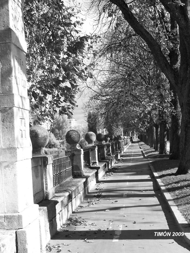 Foto de Burgos (Castilla y León), España