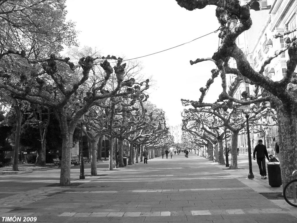 Foto de Burgos (Castilla y León), España