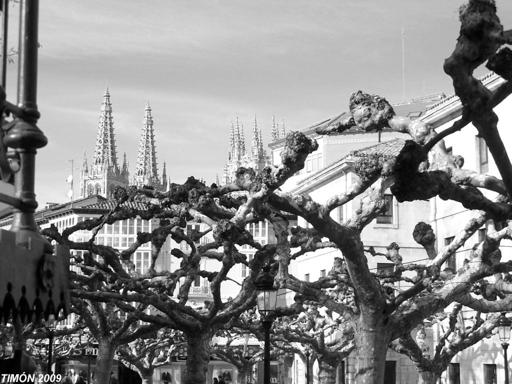 Foto de Burgos (Castilla y León), España