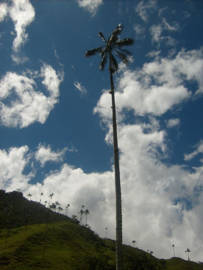 Foto de Salento (Quindio), Colombia