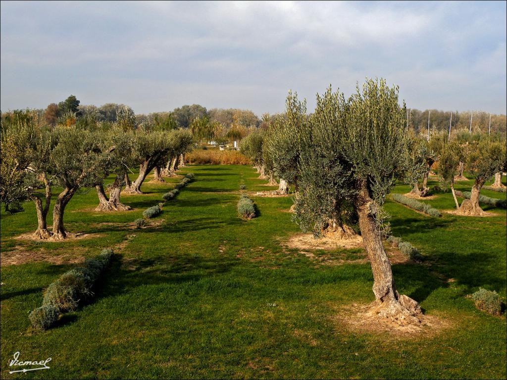 Foto de Zaragoza (Aragón), España