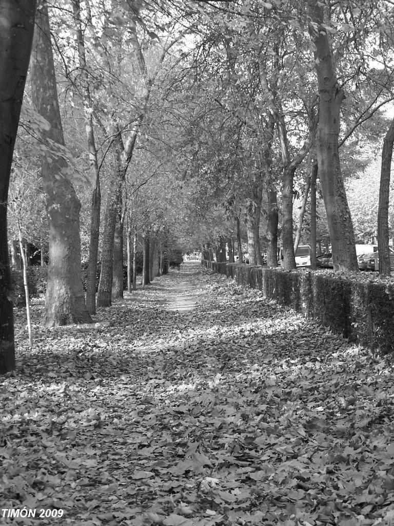 Foto de Burgos (Castilla y León), España