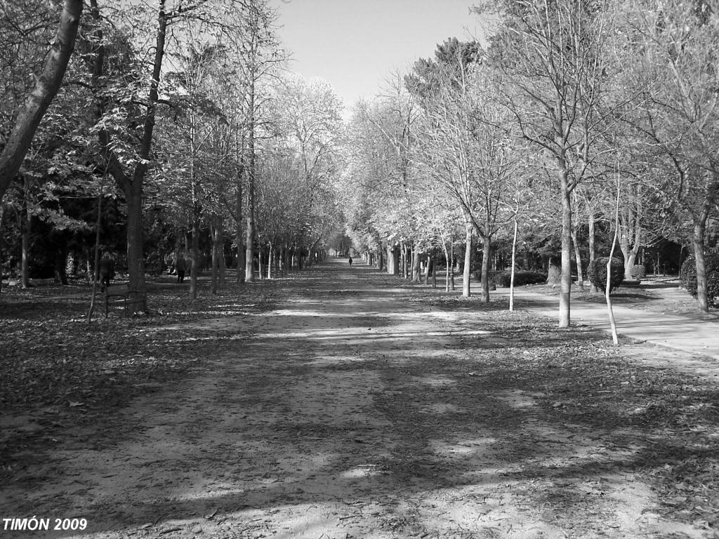 Foto de Burgos (Castilla y León), España