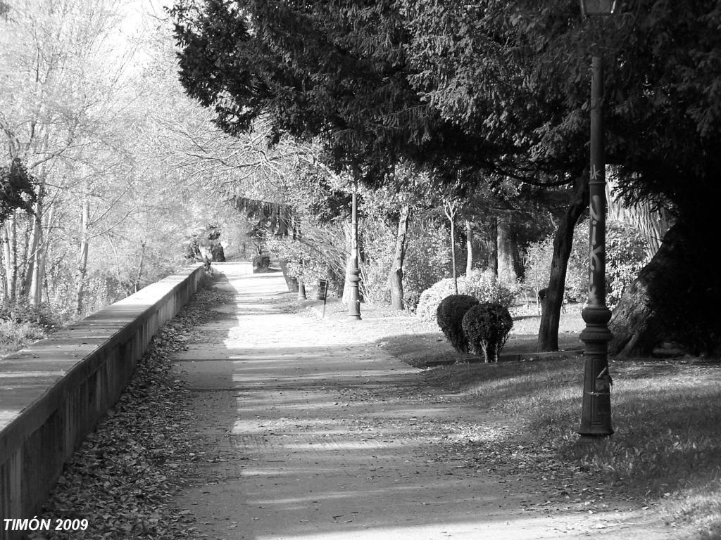 Foto de Burgos (Castilla y León), España