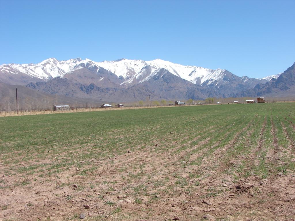 Foto de Uspallata (Mendoza), Argentina