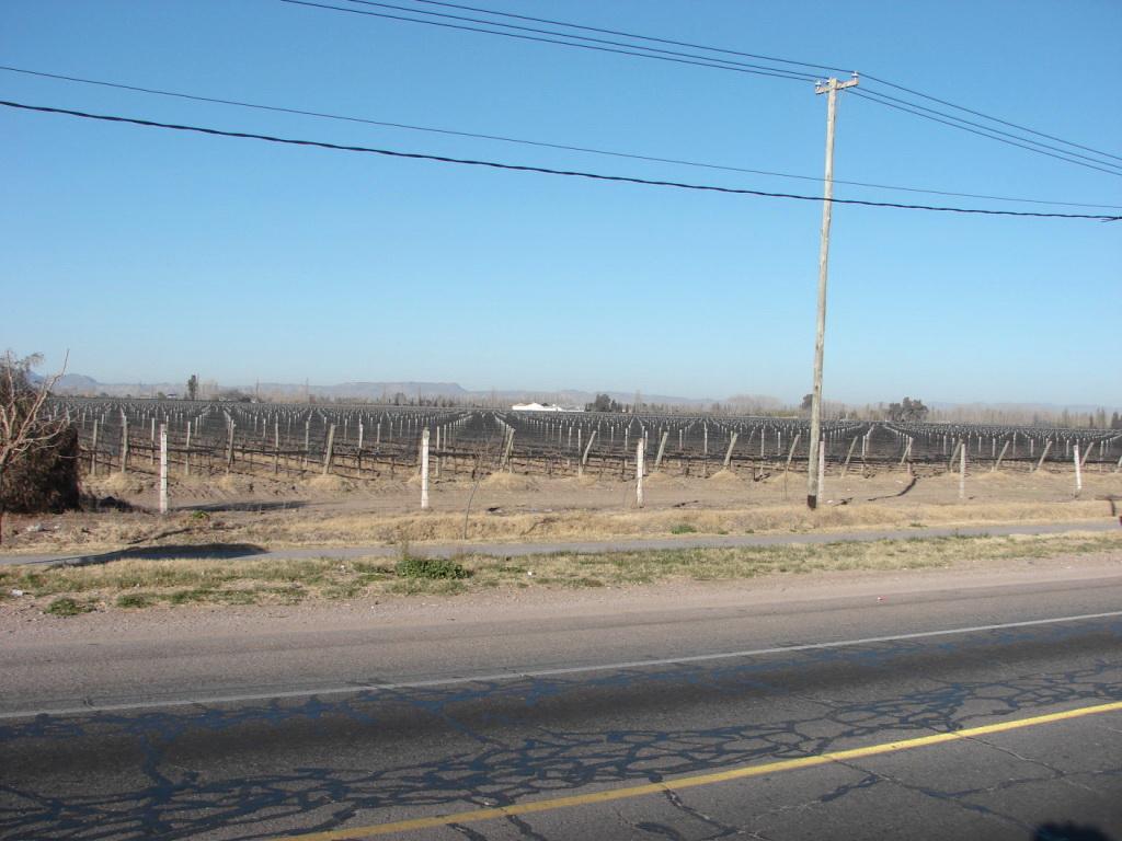 Foto de San Rafael (Mendoza), Argentina