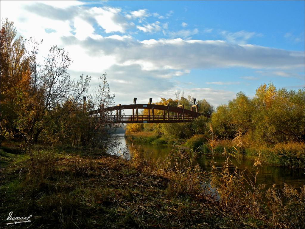 Foto de Zaragoza (Aragón), España