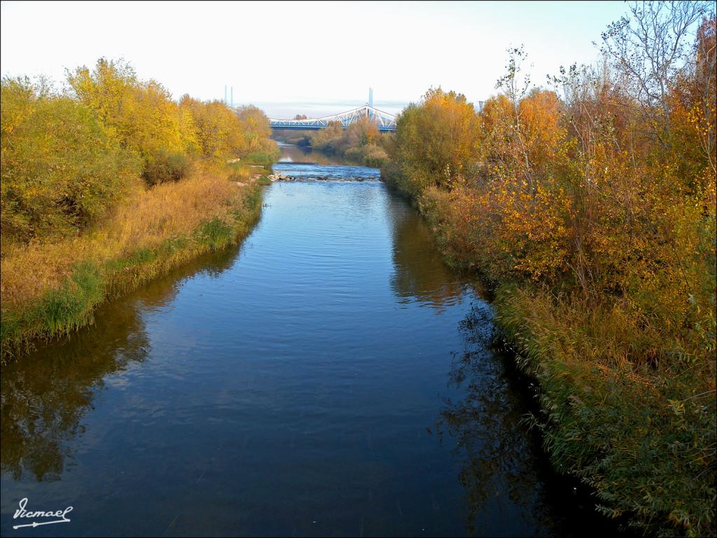 Foto de Zaragoza (Aragón), España