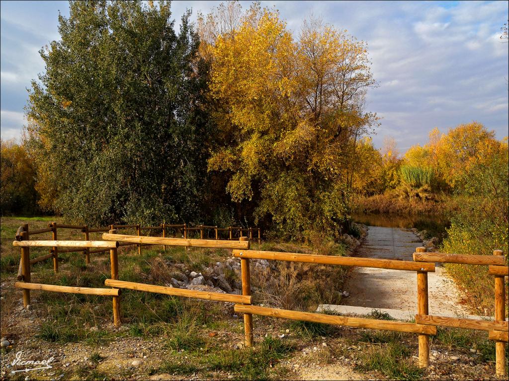 Foto de Zaragoza (Aragón), España